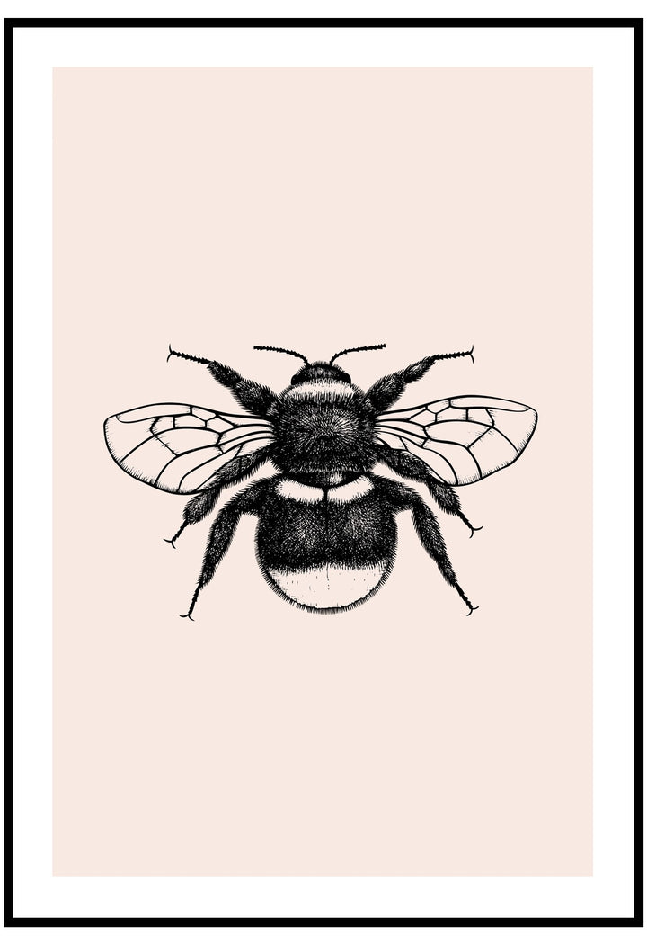 Bumblebee Wall Art
