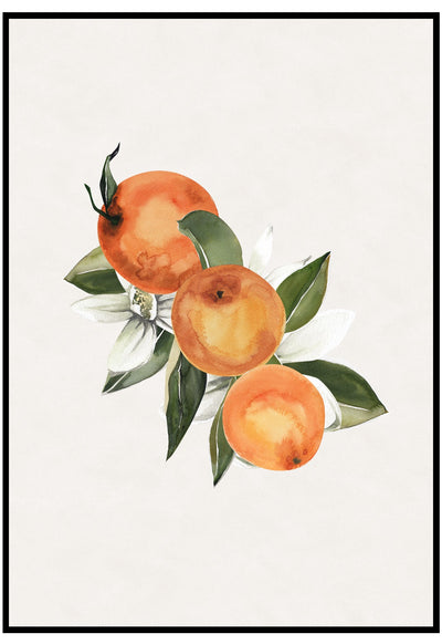 Citrus Illustration Wall Art