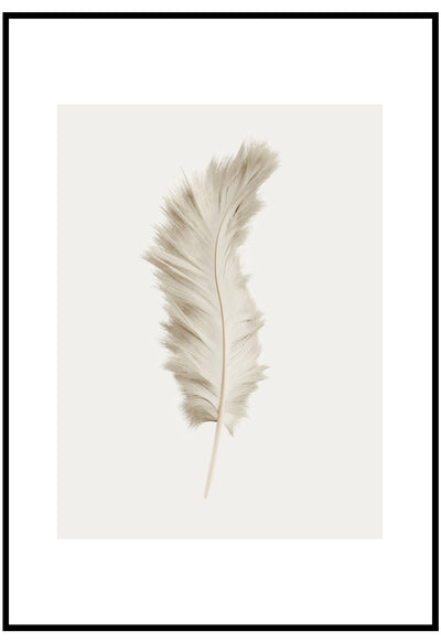Feather Portrait Wall Art