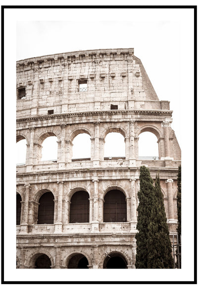 Colosseum Wall Art