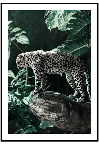 Leopard In The Wild Wall Art