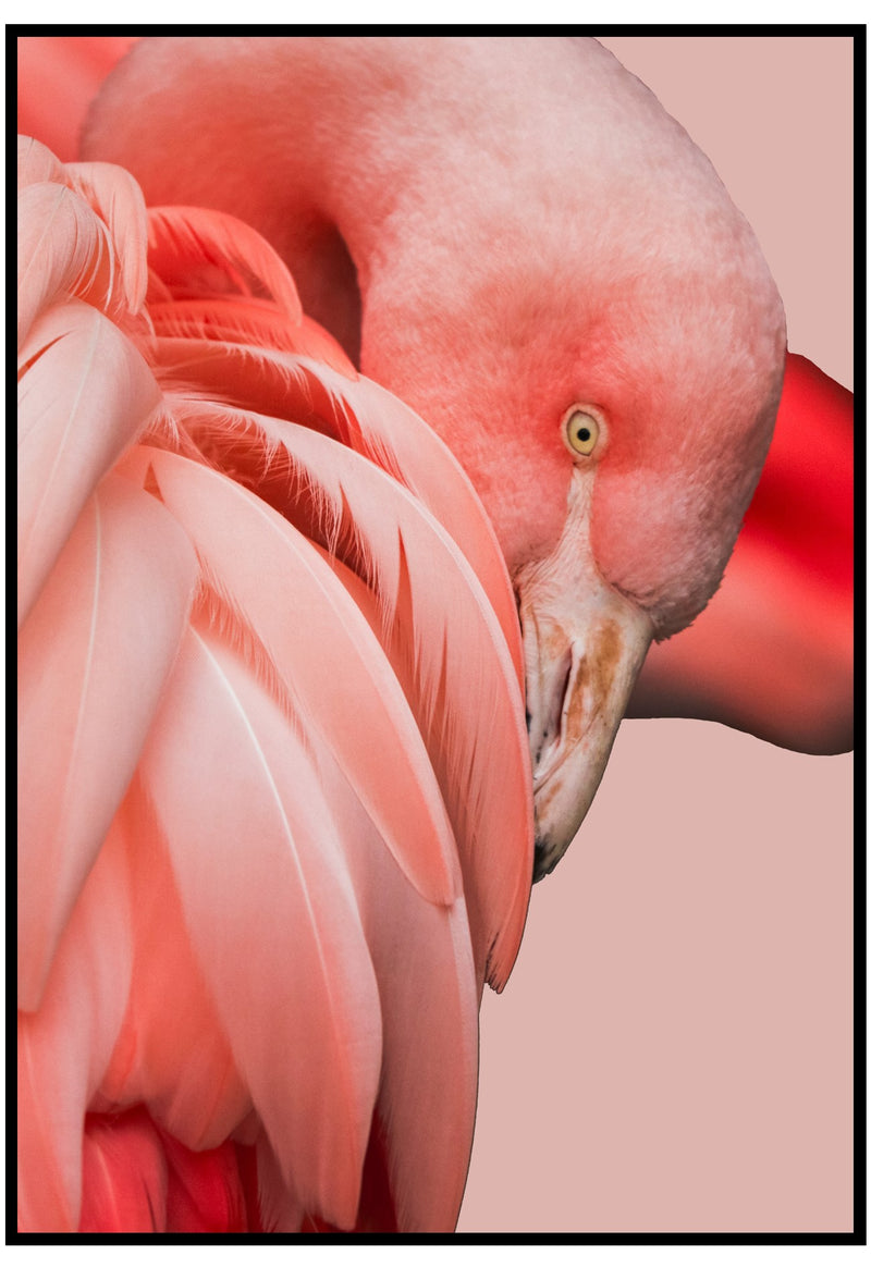 Flamingo Wall Art