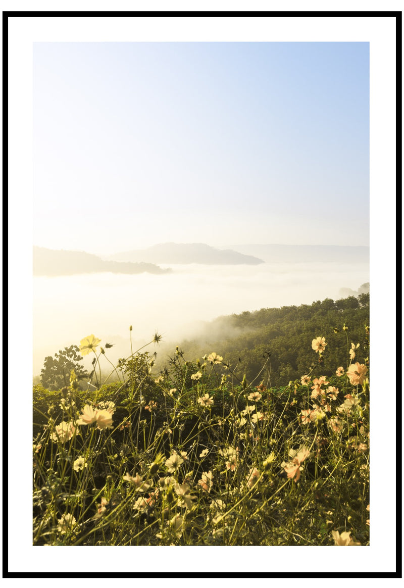 Yellow Wild Flowers Wall Art