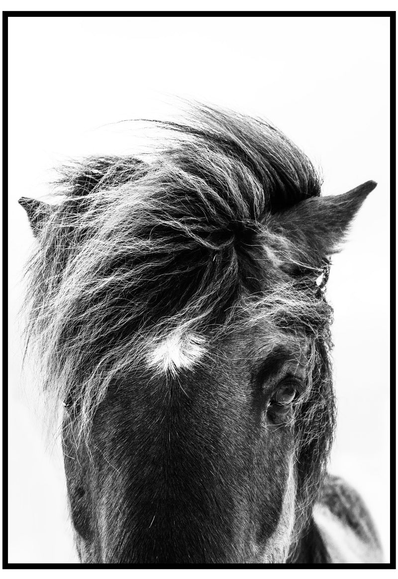 Horse Black Wall Art