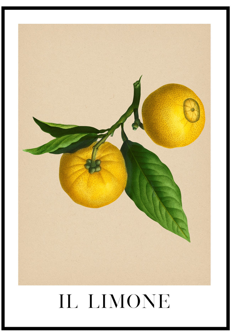 Il Limone Poster - Slay My Print - Stylish Kitchen Prints