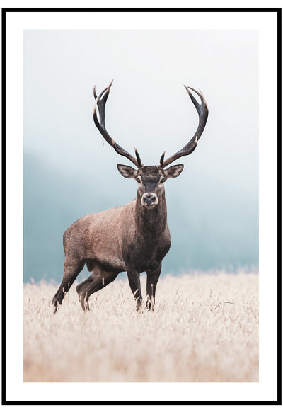 Red Deer Wall Art