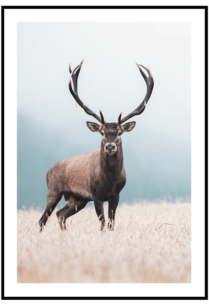Red Deer Poster, Nature Wall Art Of Wild Stag