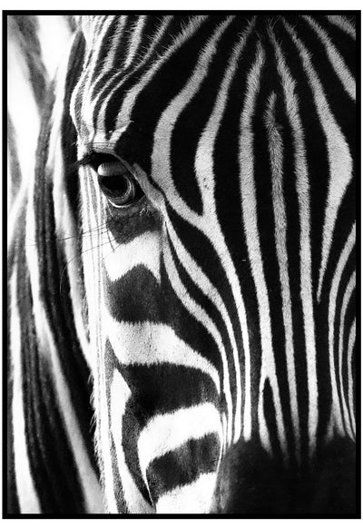 Zebra Close Up Wall Art
