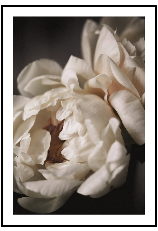 peony portrait wall art