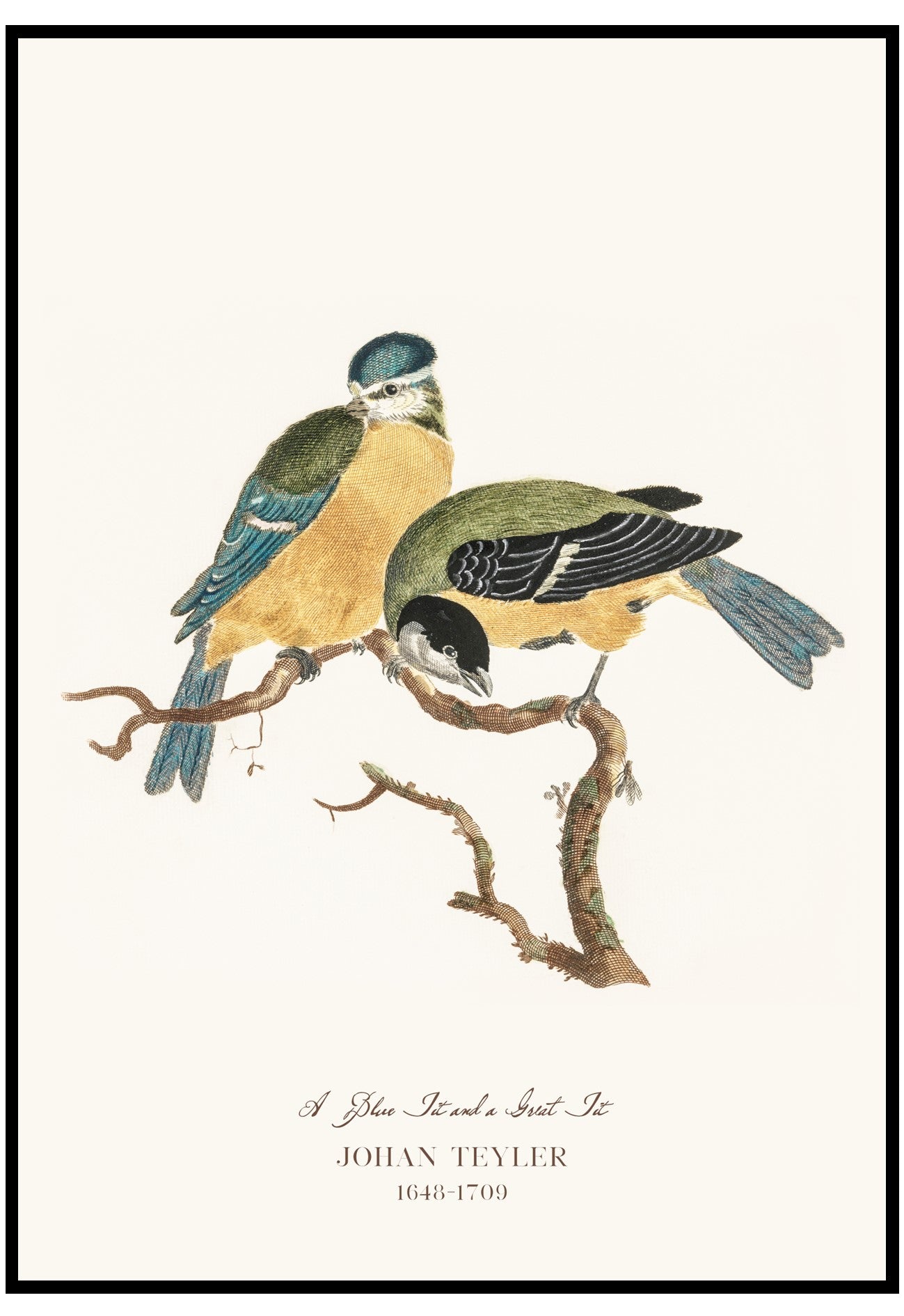 vintage birds wall art