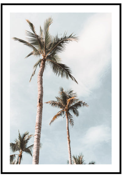 summer palms wall art