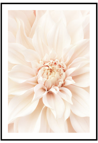 dreamy dahlia wall art