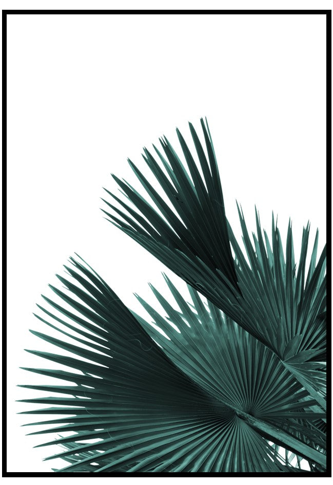 dark green fan palm poster