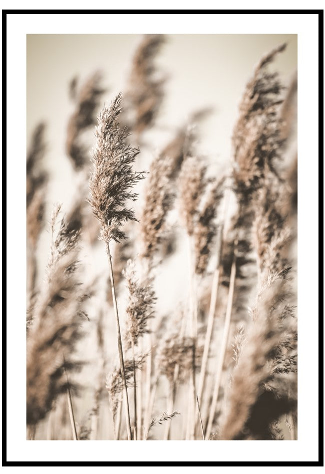delicate reeds wall art