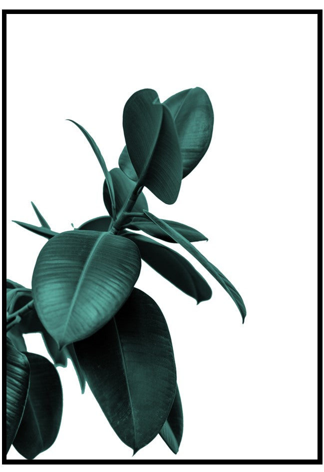 dark green rubber plant poster
