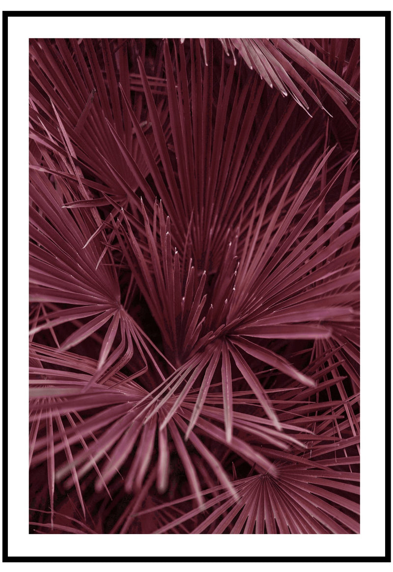 red fan palm poster