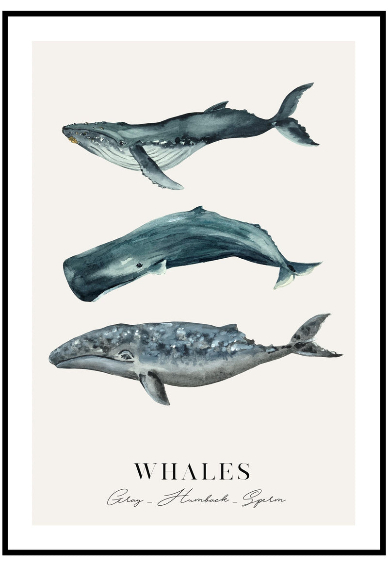 whales illustration wall art