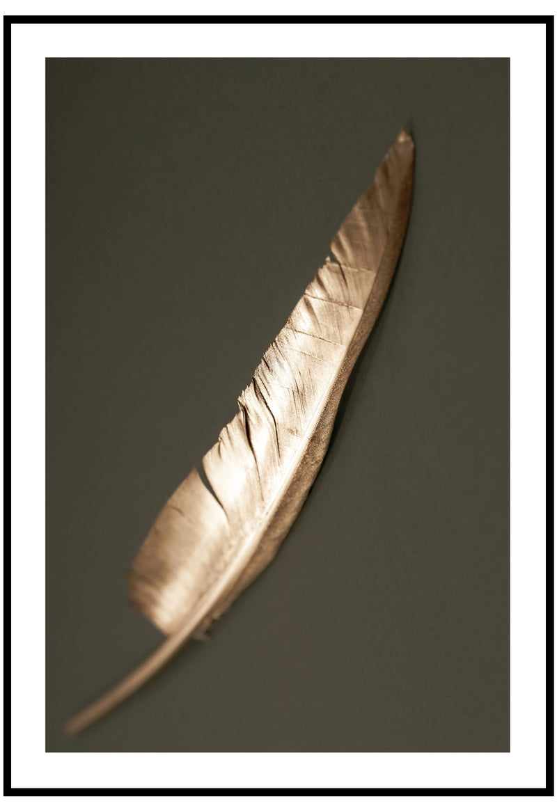 gold feather wall art