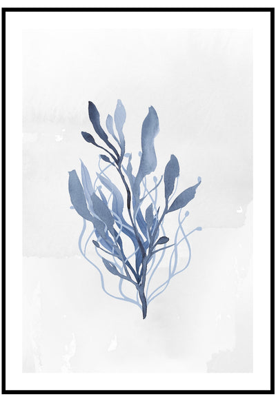 Sea Kelp wall art