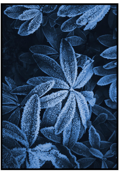 blue leaves poster