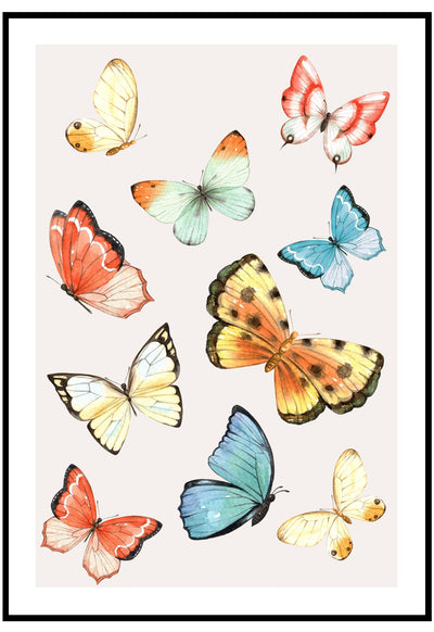 butterfly illustration wall art