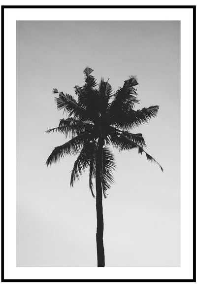 the palm tree poster