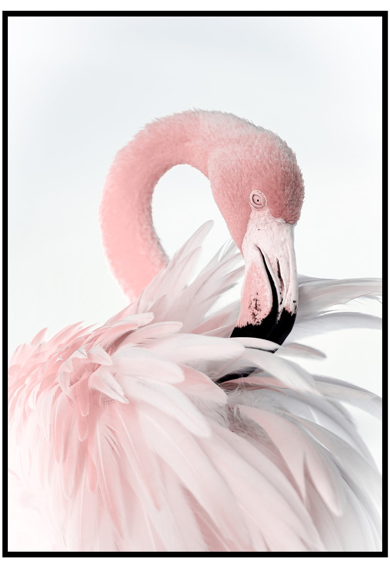 flamingo feathers wall art