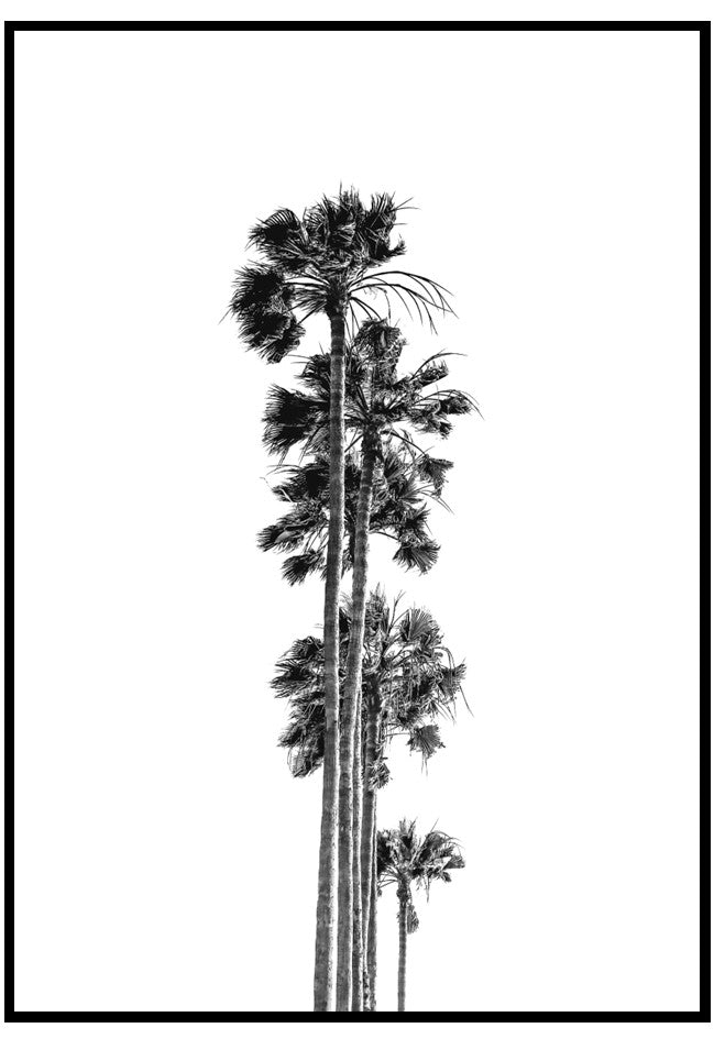 palm row wall art