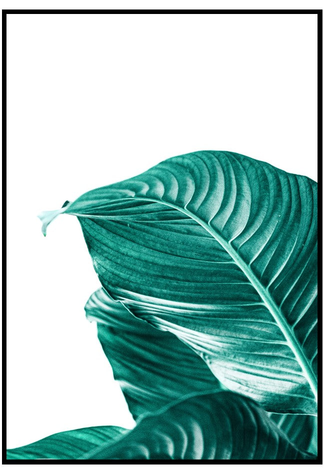 green leaves poster