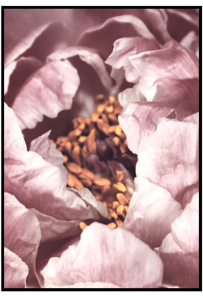 neutral peonies wall art
