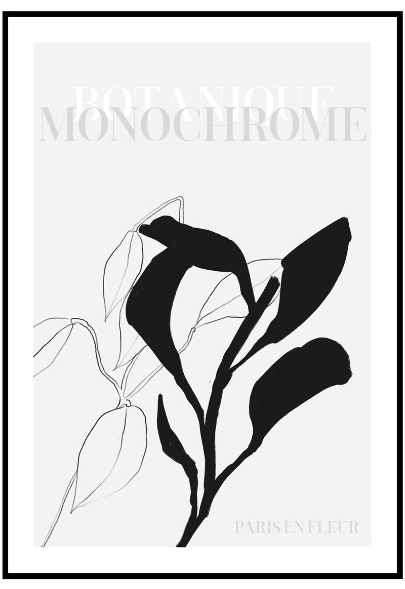 botanique monochrome wall art